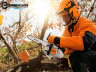 Бензопила STIHL MS 193 T 12'