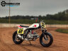 Питбайк YCF SUNDAY MOTORS FLAT TRACK S187 DAYTONA 14/14 (2019)