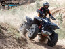 Квадроцикл Балтмоторс Baltmotors MBX 750 Lux EFI