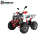Квадроцикл WELS ATV THUNDER EVO LUX X 125 (125 куб.см, 10 л.с.)