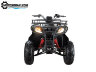 Квадроцикл WELS ATV Purga 170 (50 куб.см, 10,8 л.с.)