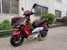 Скутер MATADOR EVO 12"